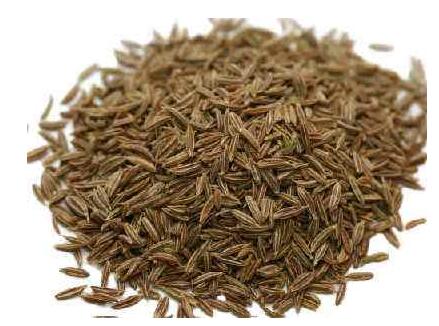 廣州孜然進口報關資質要求與海關編碼歸類